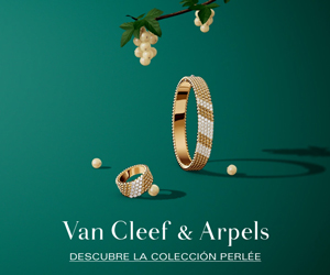 – Advertisement –