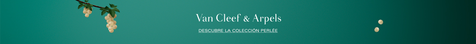 – Advertisement –
